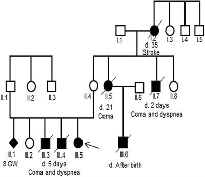 Late-Onset Ornithine Transcarbamylase Deficiency and Variable Phenotypes in Vietnamese Females With OTC Mutations